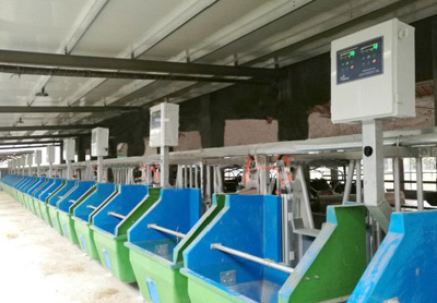 農牧行業采食系統應用 農牧行業采食系統應用